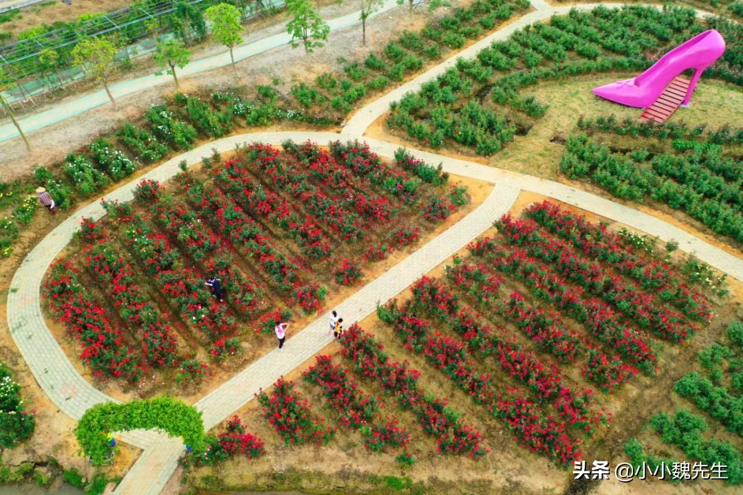 珠海有没有比较好的景点,珠海最漂亮群岛