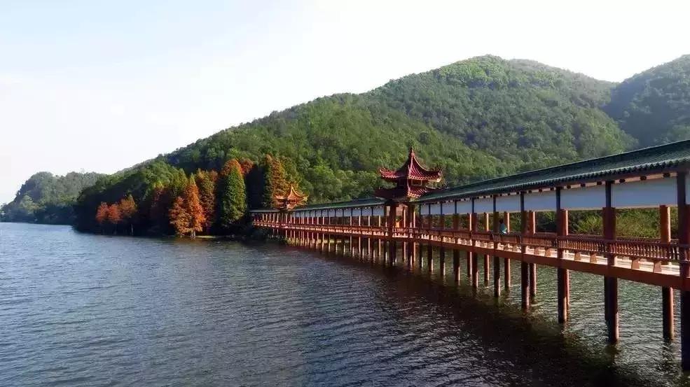 你回梅州了吗,还能回梅州吗