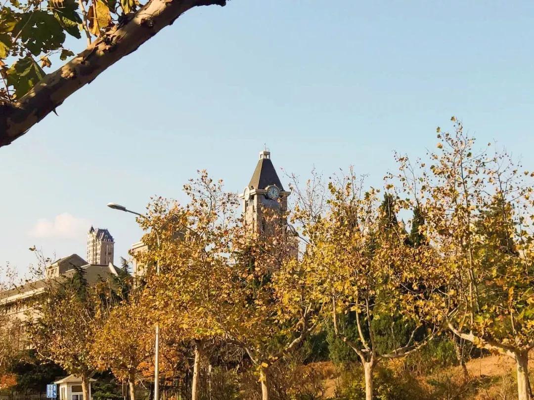 辽宁省民办大学（二）大连东软信息学院