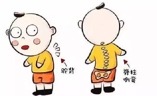 孩子脊柱侧弯推拿有作用吗,16岁女孩脊柱侧弯能推拿吗