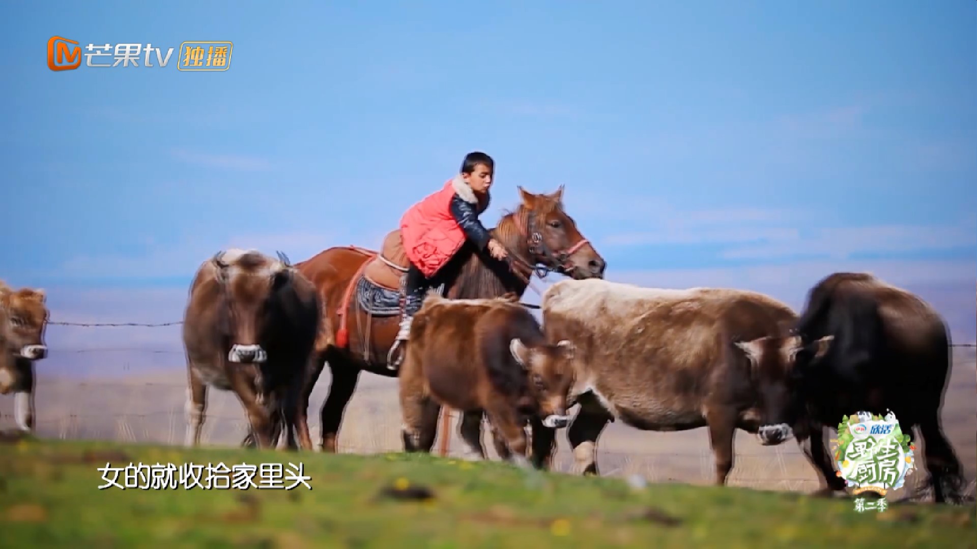 不讲卫生？汪涵把口水吐烤肉串上，生吃3片羊肝，艾福杰尼愣住