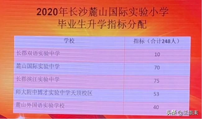 麓山国际实验学校对口楼盘,长沙麓山国际实验学校对口楼盘