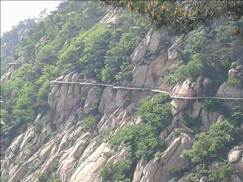 疫情下的感恩教育,疫情下孩子的心理健康教育