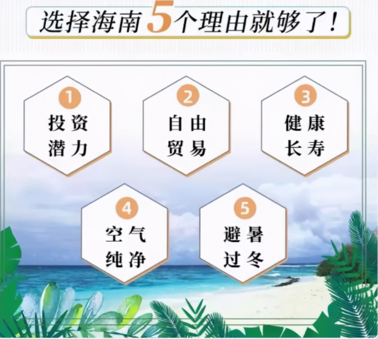 海南这个城市为什么房价这么贵,海南到底好在哪