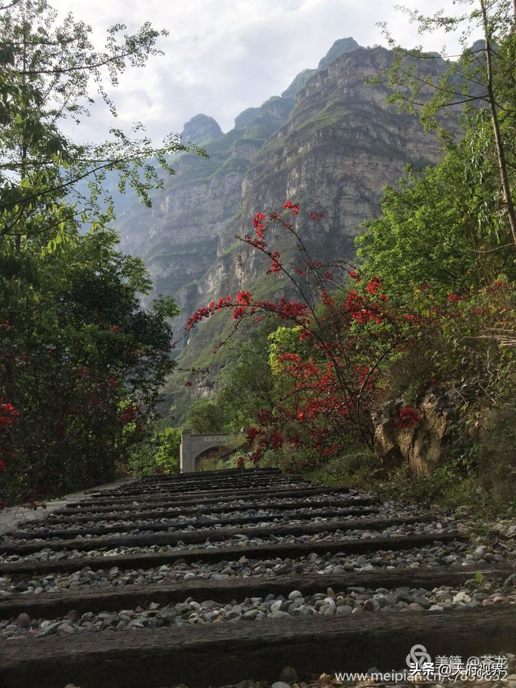 中国百慕大黑竹沟了解一下,穿越黑竹沟揭秘中国百慕大
