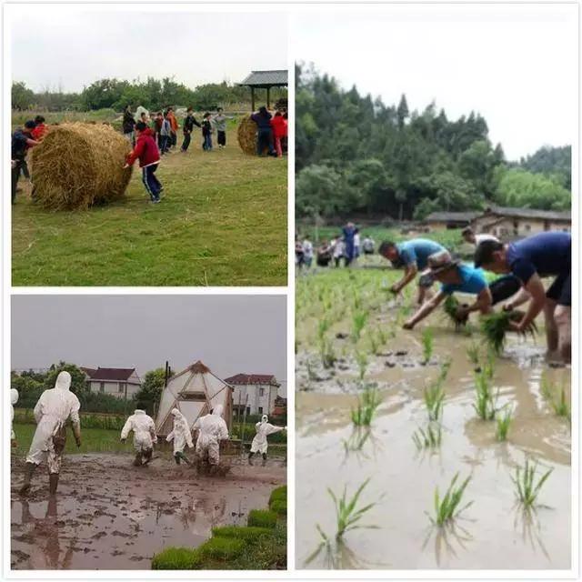 农业推广引流,低成本的引流掌握方法一样能挣钱