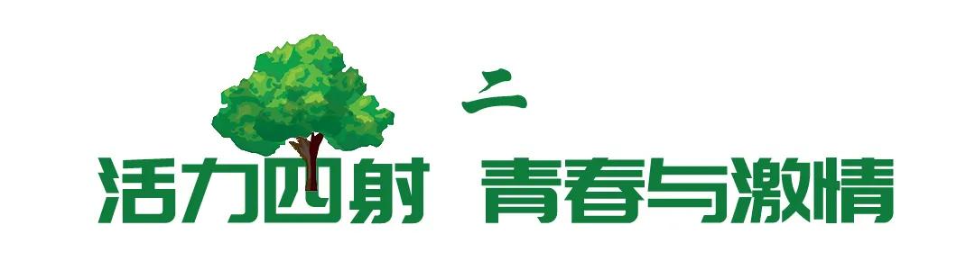 合肥政务区绿轴,绿轴公园合肥