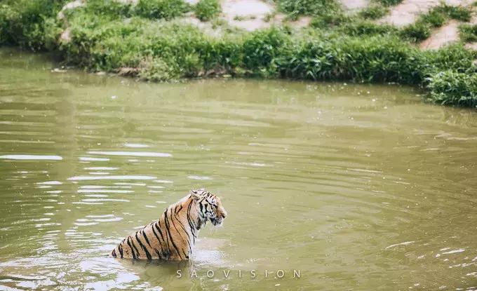 一生必去的中国50个最美原图,一生必去40个中国最美地方