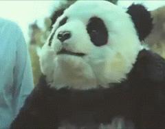 2020年摄影点评部分低分照片合集（下）（前方大量熊猫出没）