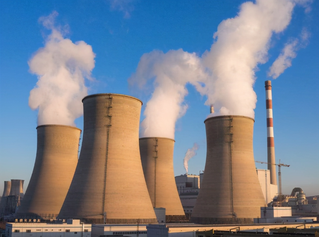 中国人吃一块肉,中国人吃肉对亚马逊雨林有影响