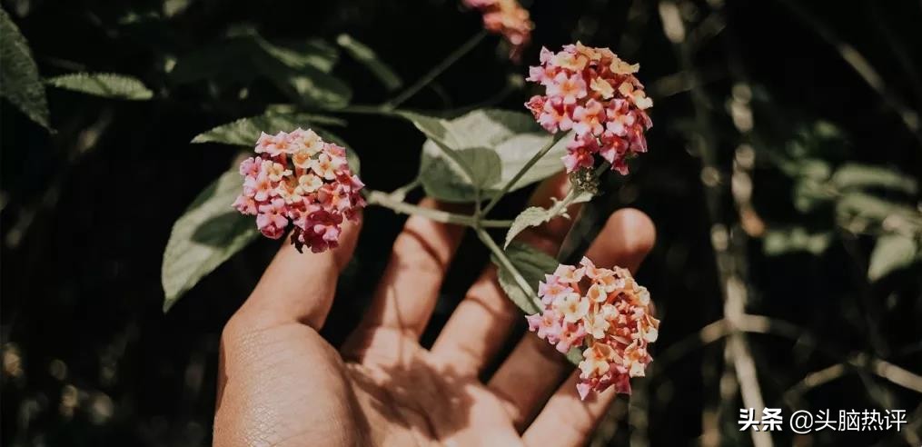 陷入心理困境如何自救,心理承受能力太差的人怎么劝导