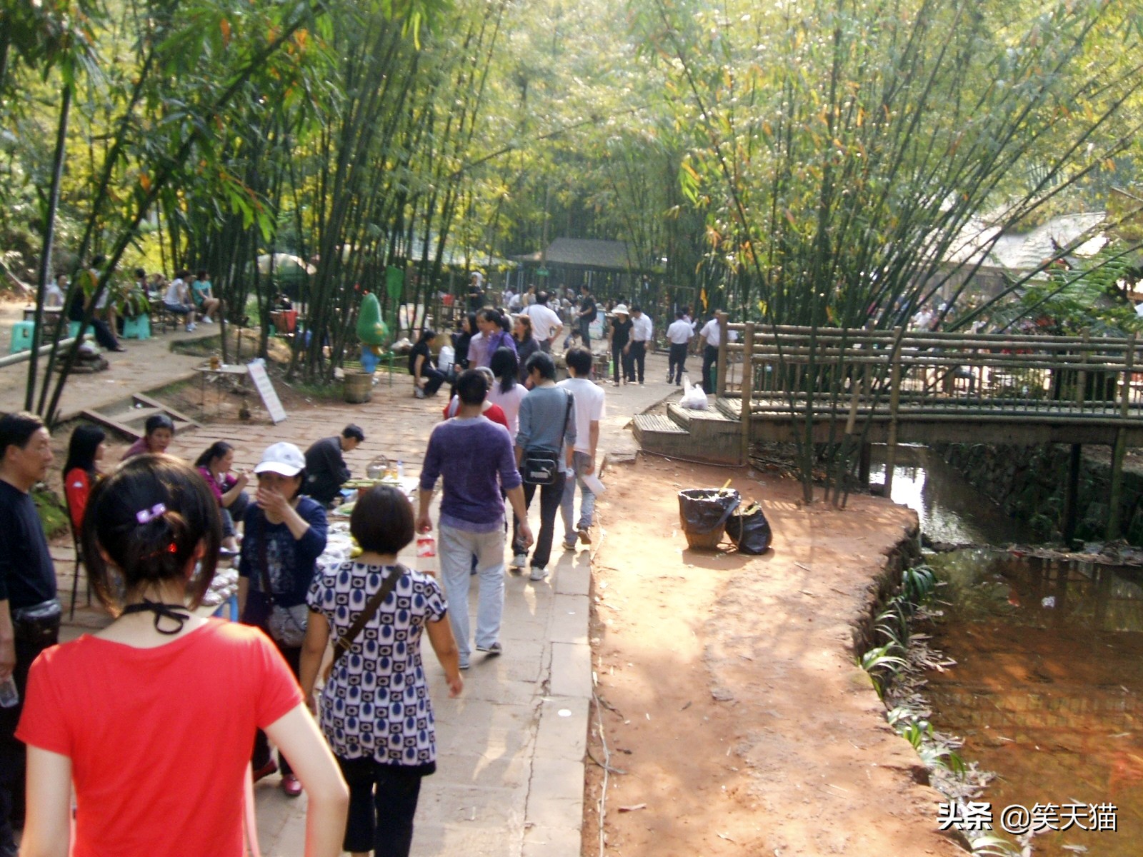 四川宜宾竹海风景,宜宾蜀南竹海全视频