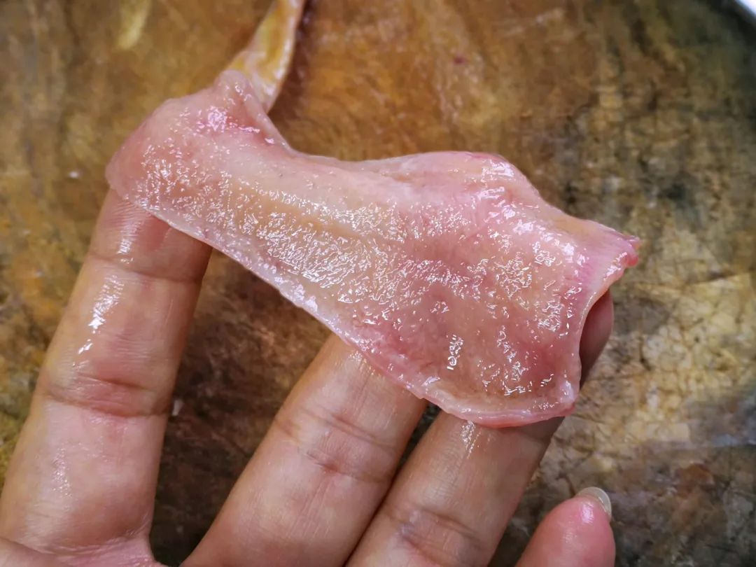 鱼的性腺好吃吗,鱼的生殖腺在哪儿