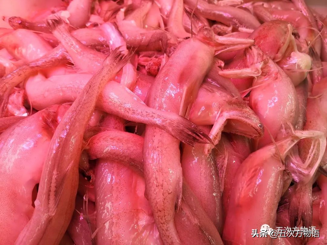 青岛海鲜市场价格表今日,青岛哪个农贸市场海鲜最便宜又好