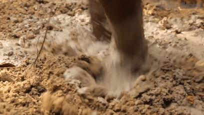 木棍怎么挖出泳池,一根棍子挖出一个游泳池