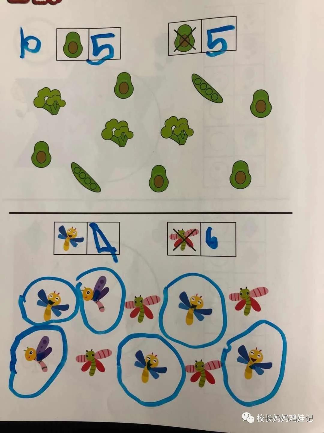 斯奎尔全脑数学讲解3到4岁,四岁学完所有课程