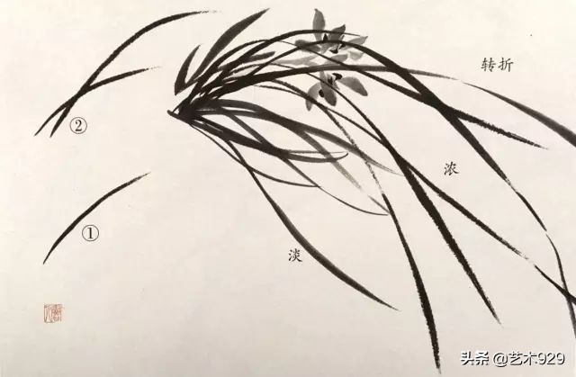 国画兰花画法免费技法教程,国画兰花绘画图