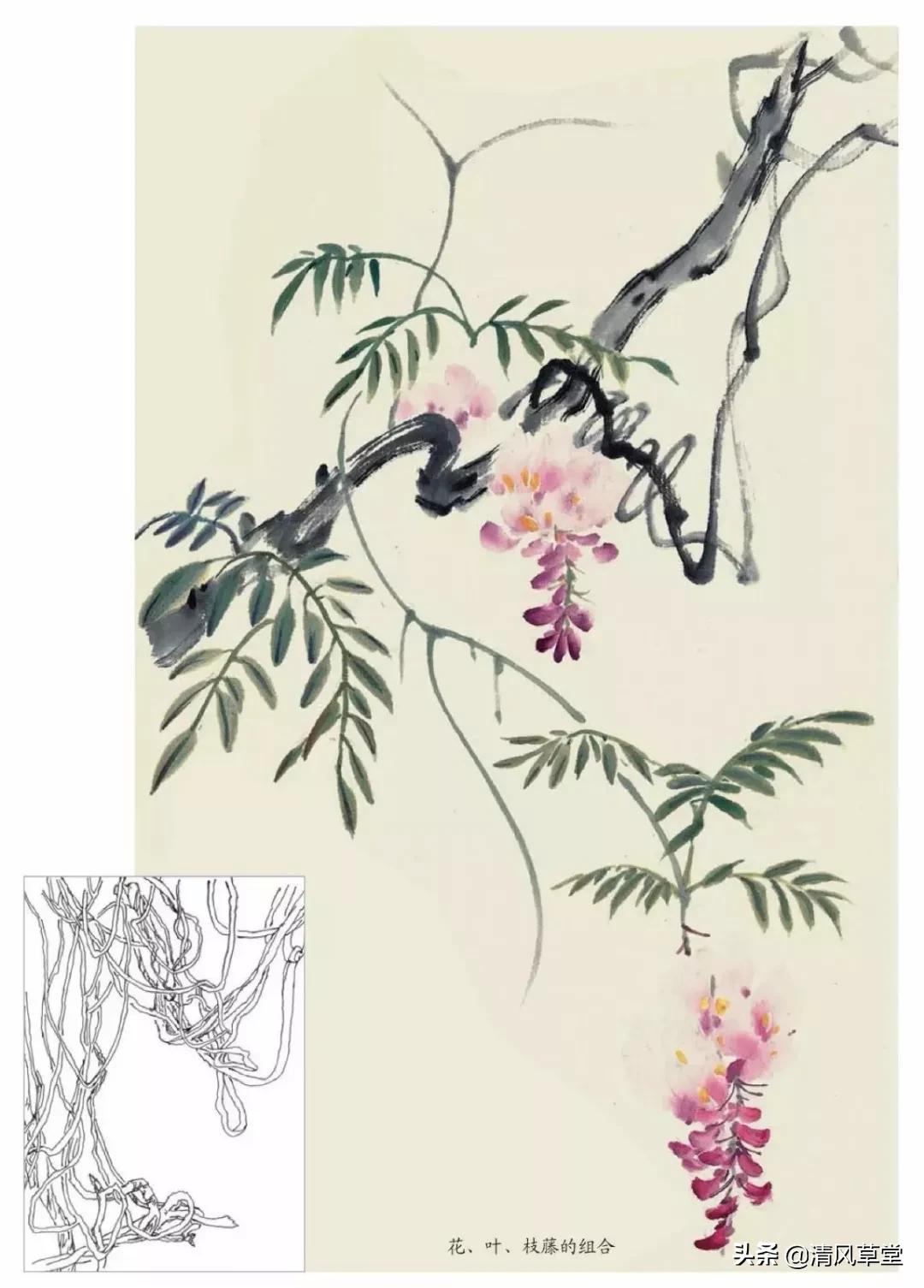 少儿国画花卉画法视频,各种花卉的100种画法