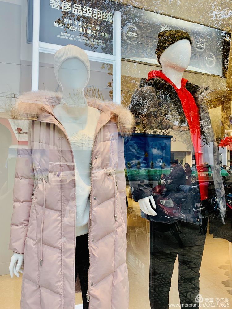 涧西牡丹广场老照片,洛阳牡丹手机拍照