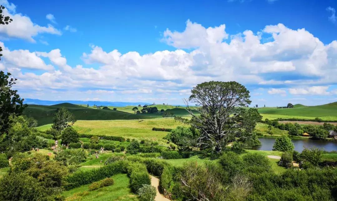 比国内油价还高三四块！这地方奔驰不如日系车受欢迎！