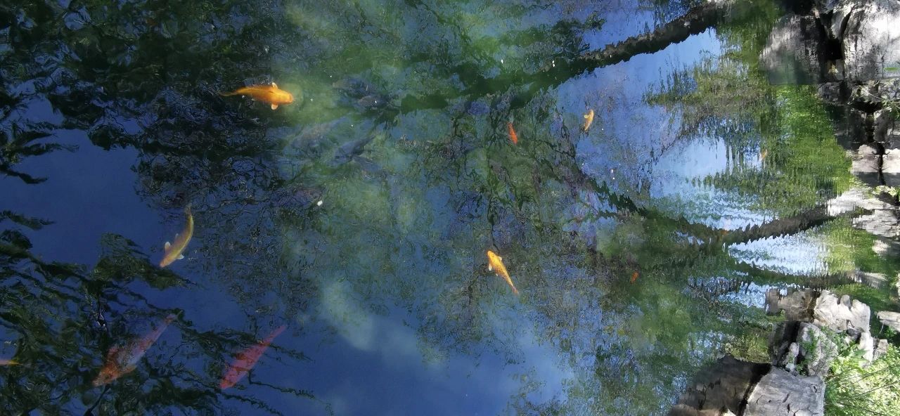 济南免费遛娃的地方,济南市十一带娃游玩好去处