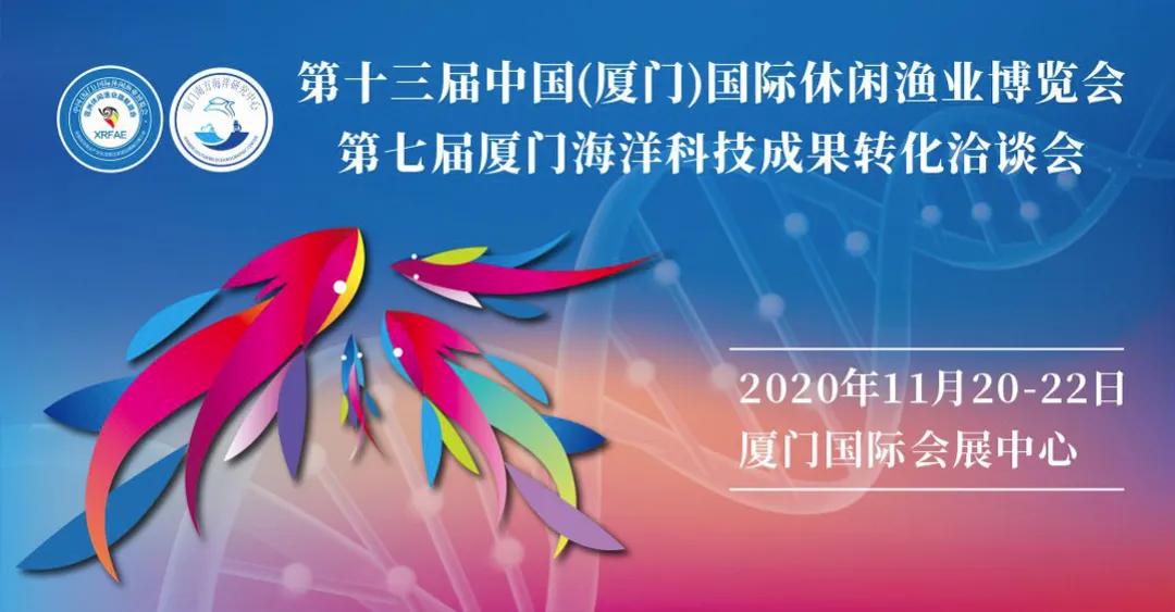 路亚竿公认十款性价比高的鱼竿,台钓竿品牌排名