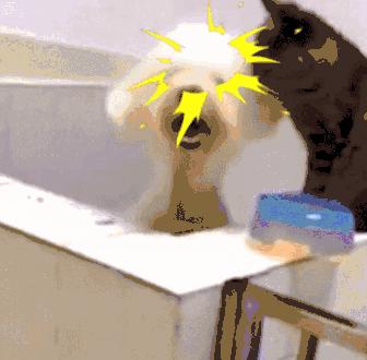 海外代购直邮如何判断物流作假,代购清关物流造假