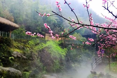 安乐窝，彼时足下乘风起，扶摇直上九万里