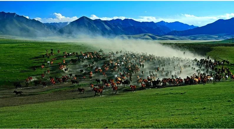 山丹军马场世界第一大军马场,山丹军马场适宜养马的原因