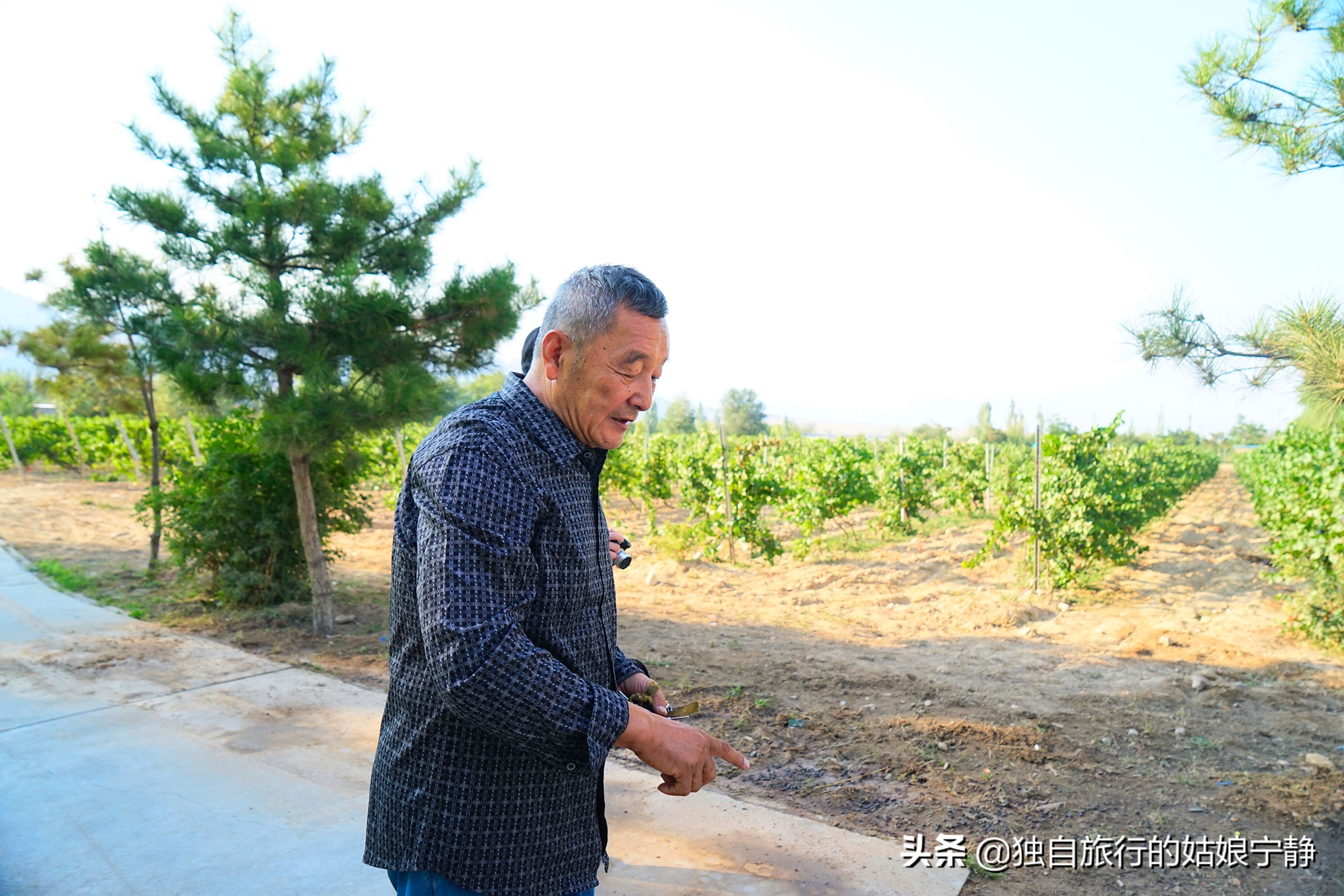 宁夏贺兰山东麓葡萄酒酒庄排名,宁夏十大顶级葡萄酒