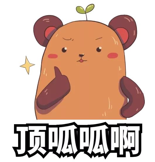 大美中国甘肃康县,央视大美中国甘肃康县