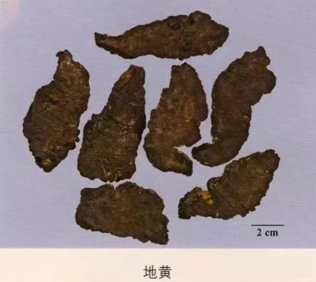 中药材图片大全大图带药名,200多味中药材图谱带图