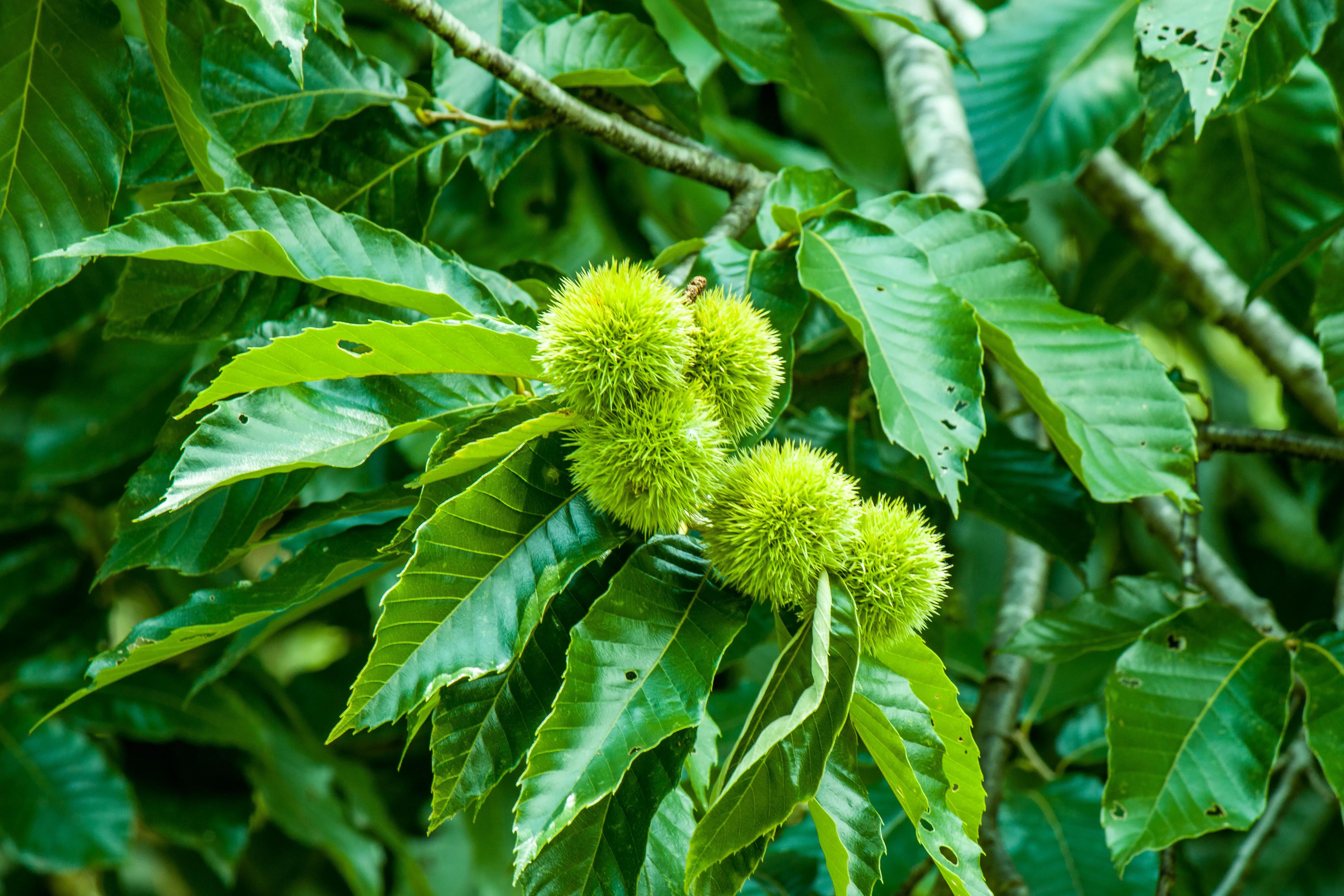 佳能70d新手入门图解,佳能200d二代和70d哪个好