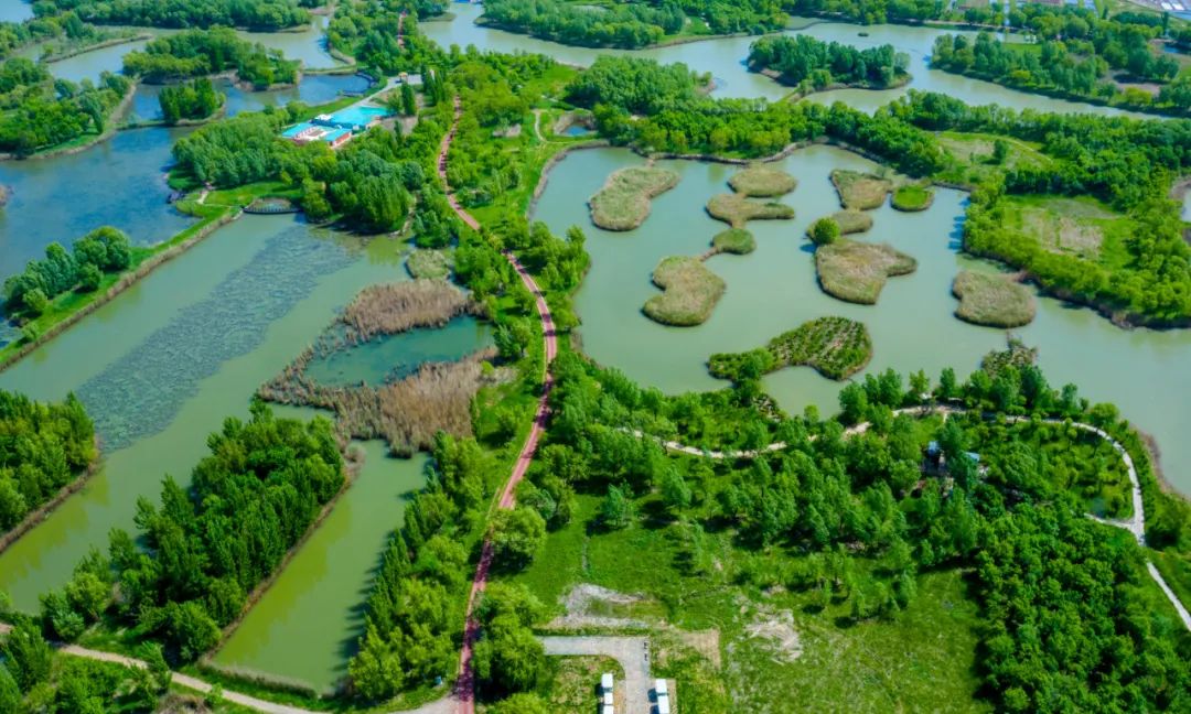 济南湿地公园值得去吗,济南湿地公园旅游攻略