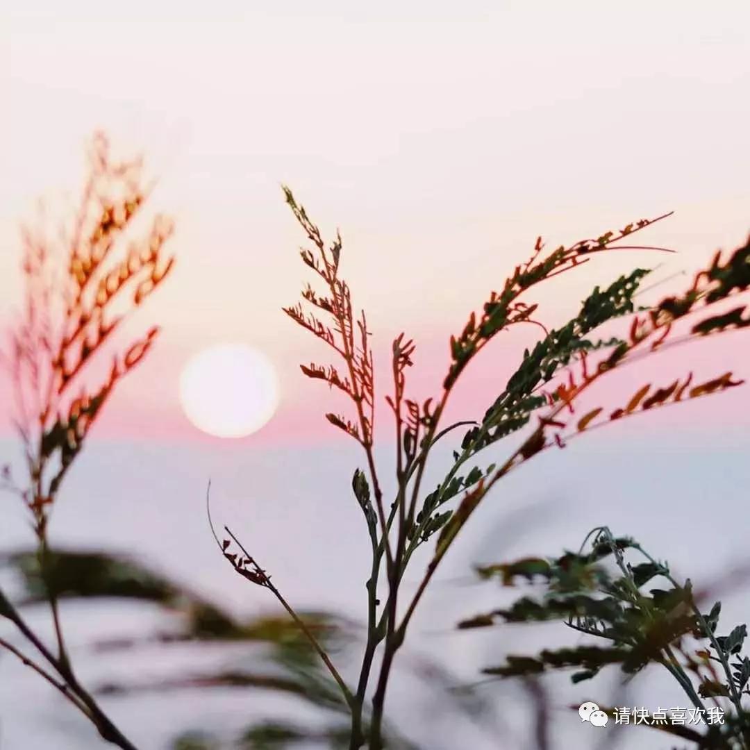 努力会让你的心变得自由