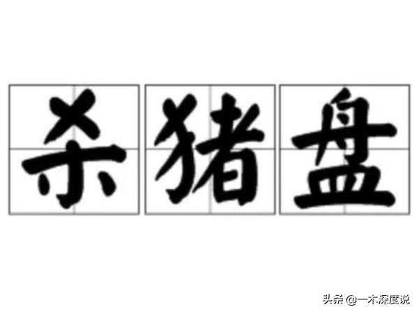 杀猪盘案例及解析,杀猪盘感情案例