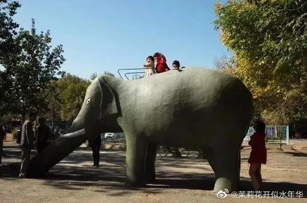 没这几张合影，谁敢说自己在天津长大？