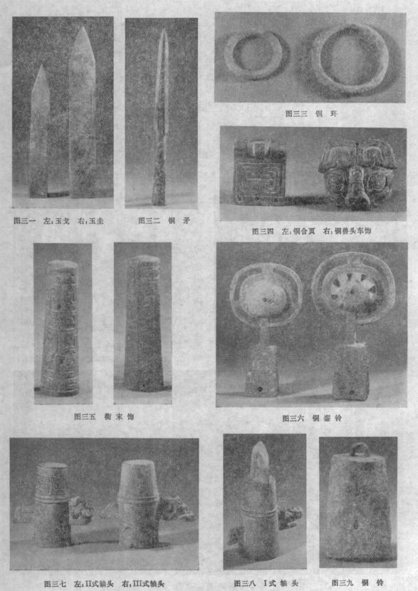 咸阳秦墓发掘全过程,秦墓发掘纪实全集