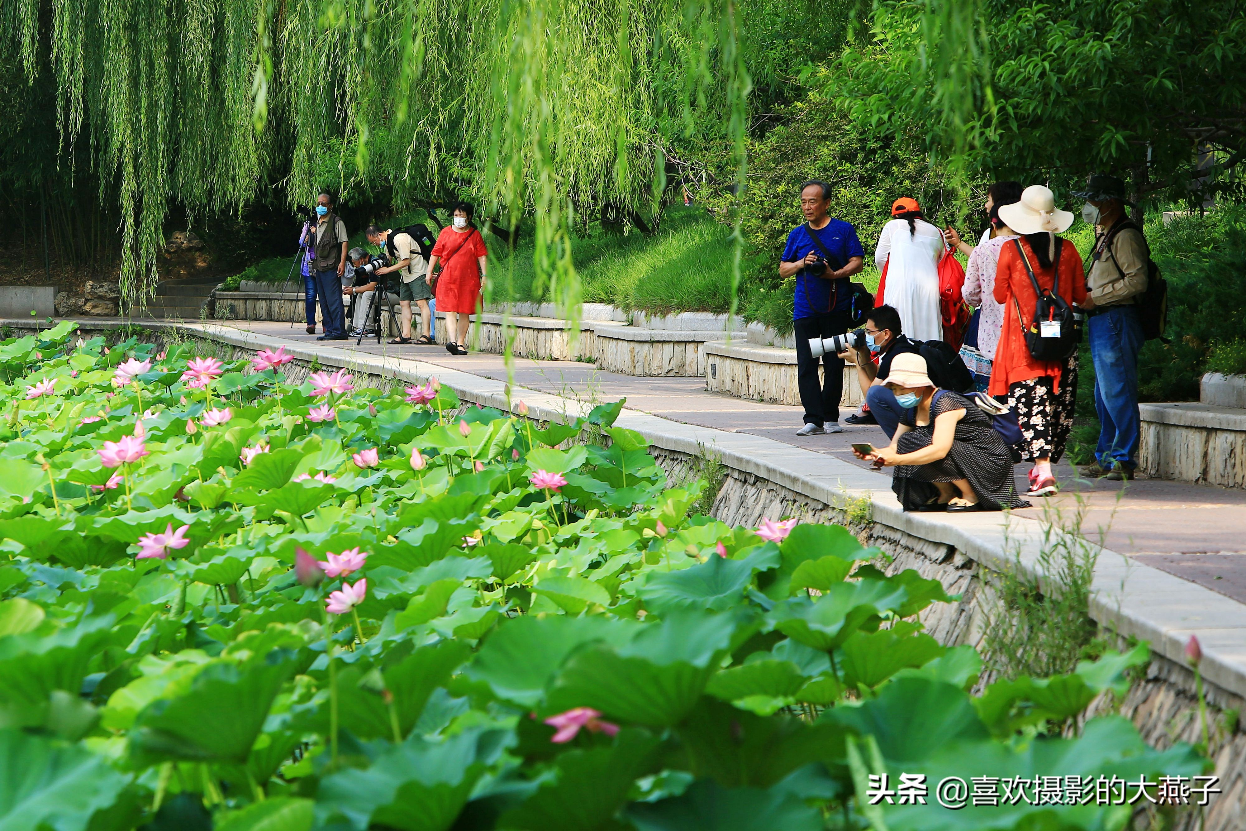 紫竹院京城景区,京城皇家御河紫竹院