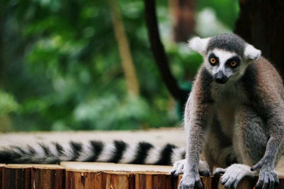 我的摄影装备,索尼微单a5000和a5100哪个好