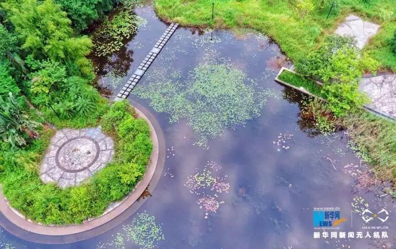 必打卡的宝藏公园,这些宝藏打卡地分分钟让人美到