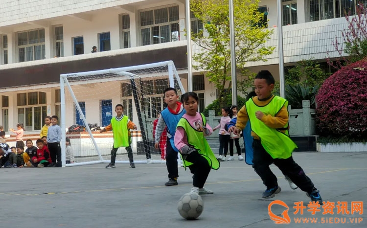 2019成都小学足球比赛,成都东部新区第三届校园足球联赛