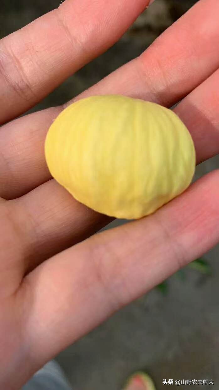 刚开始卖东西没有生意怎么办,刚开始卖不出去货