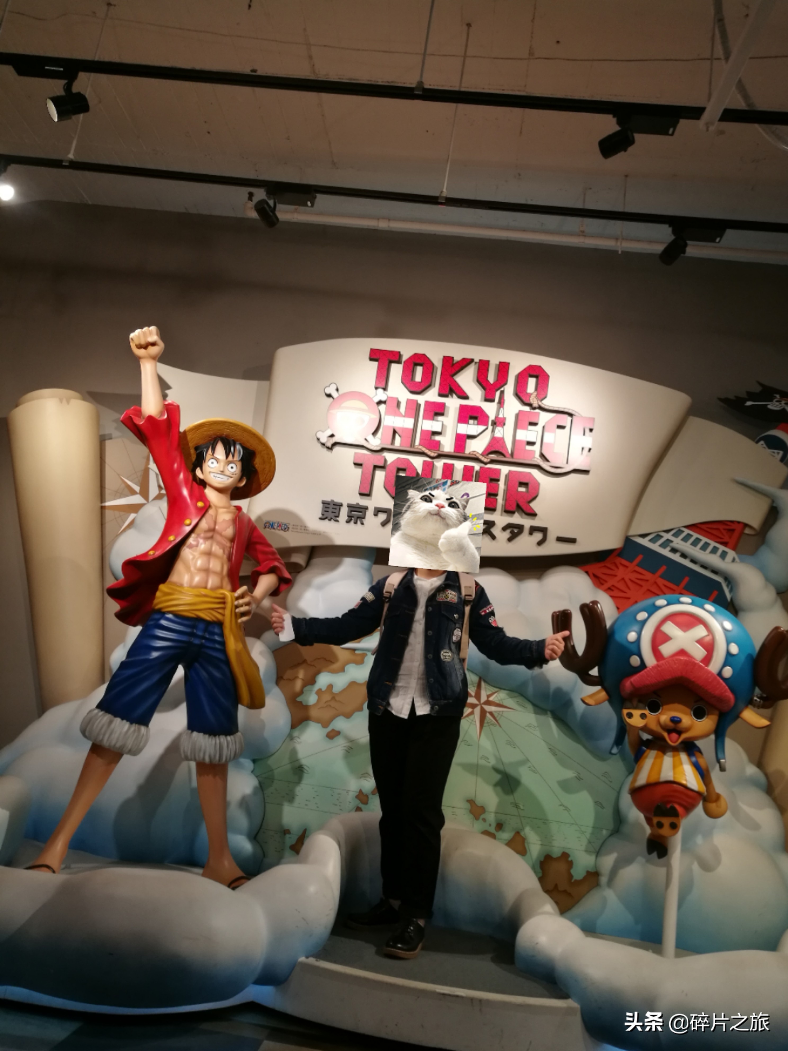 豪华游轮日本游旅游攻略,特价日本豪华游轮旅游攻略