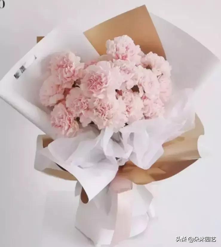 母亲节花束康乃馨用什么样的,母亲节花束红色康乃馨款式图片