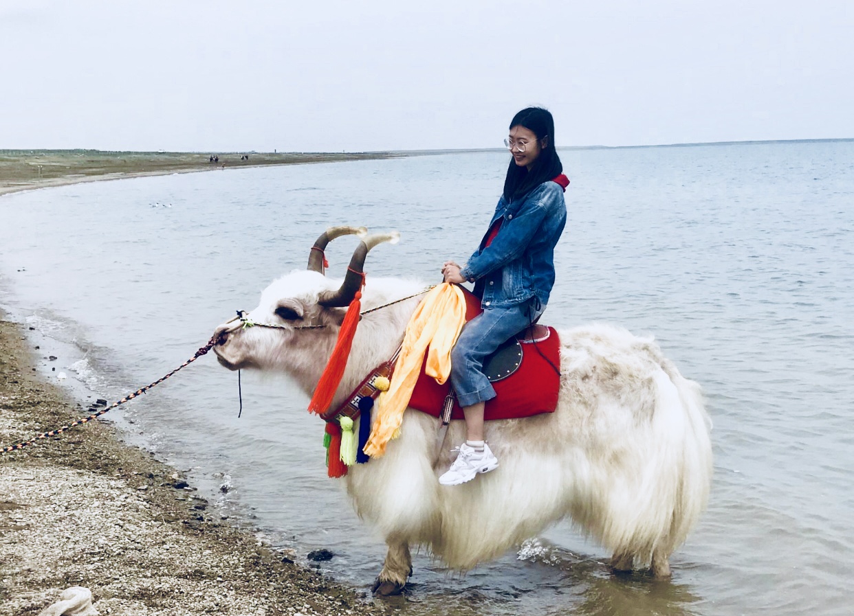 玩转西宁攻略,青海西宁之旅