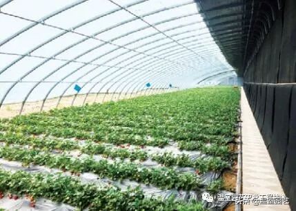 温室的设计与建造,如何建温室节约成本