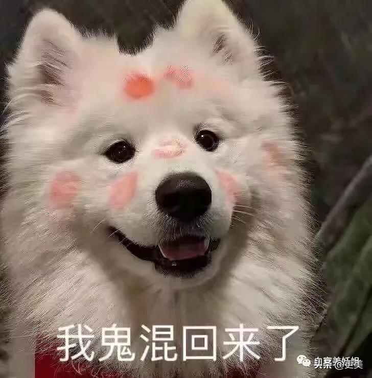 上海滩第1富二代,被王思聪撕最惨的女星