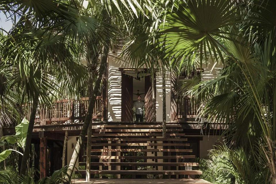 CO-LAB|自然系住宅