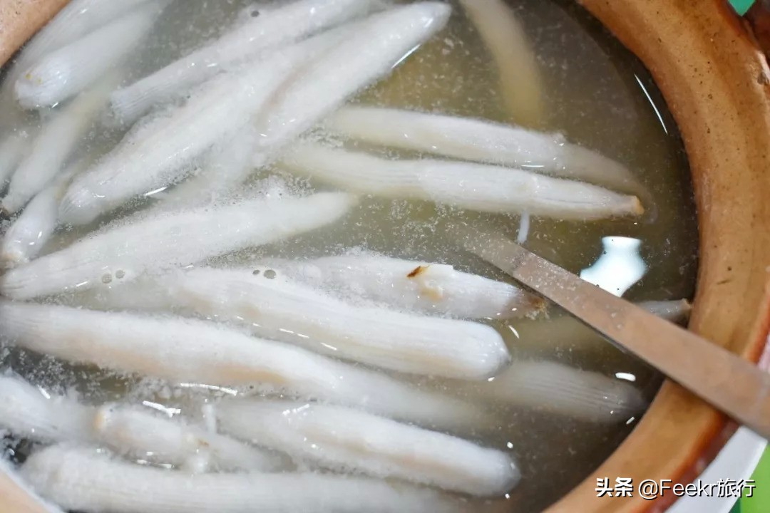 广东著名渔港开渔,广东开渔季节